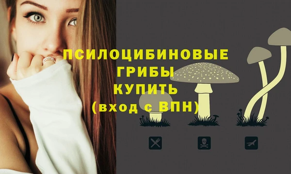 СК Няндома