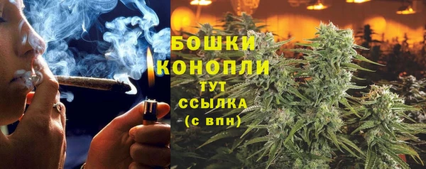 СК Няндома