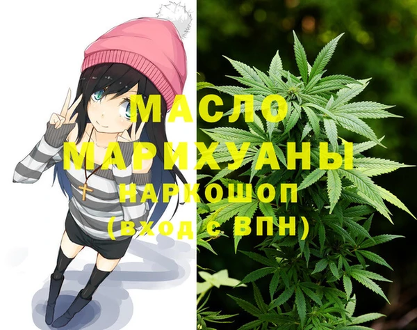 СК Няндома
