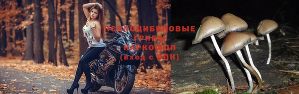 метадон Нягань