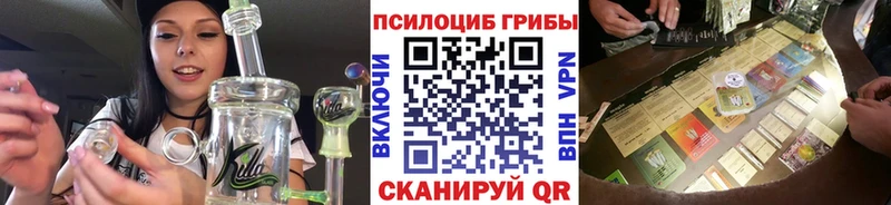 продажа наркотиков Боготол Галлюциногенные грибы прущие грибы